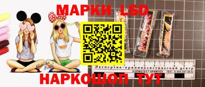 твердый Камышлов