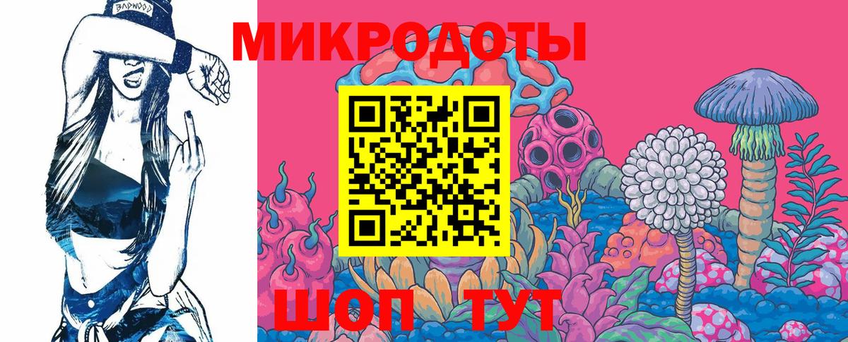 Псилоцибиновые грибы мицелий  Вход с VPN  Кушва  Псилоцибиновые грибы GOLDEN TEACHER 