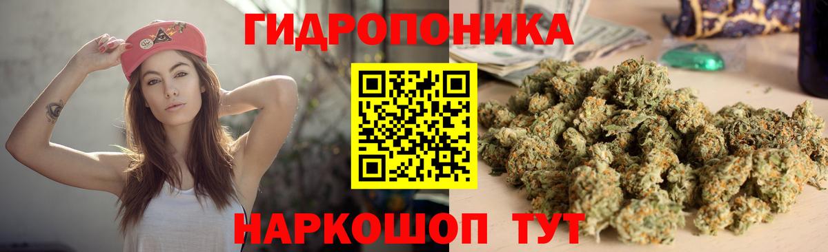 Бошки Шишки план Кушва